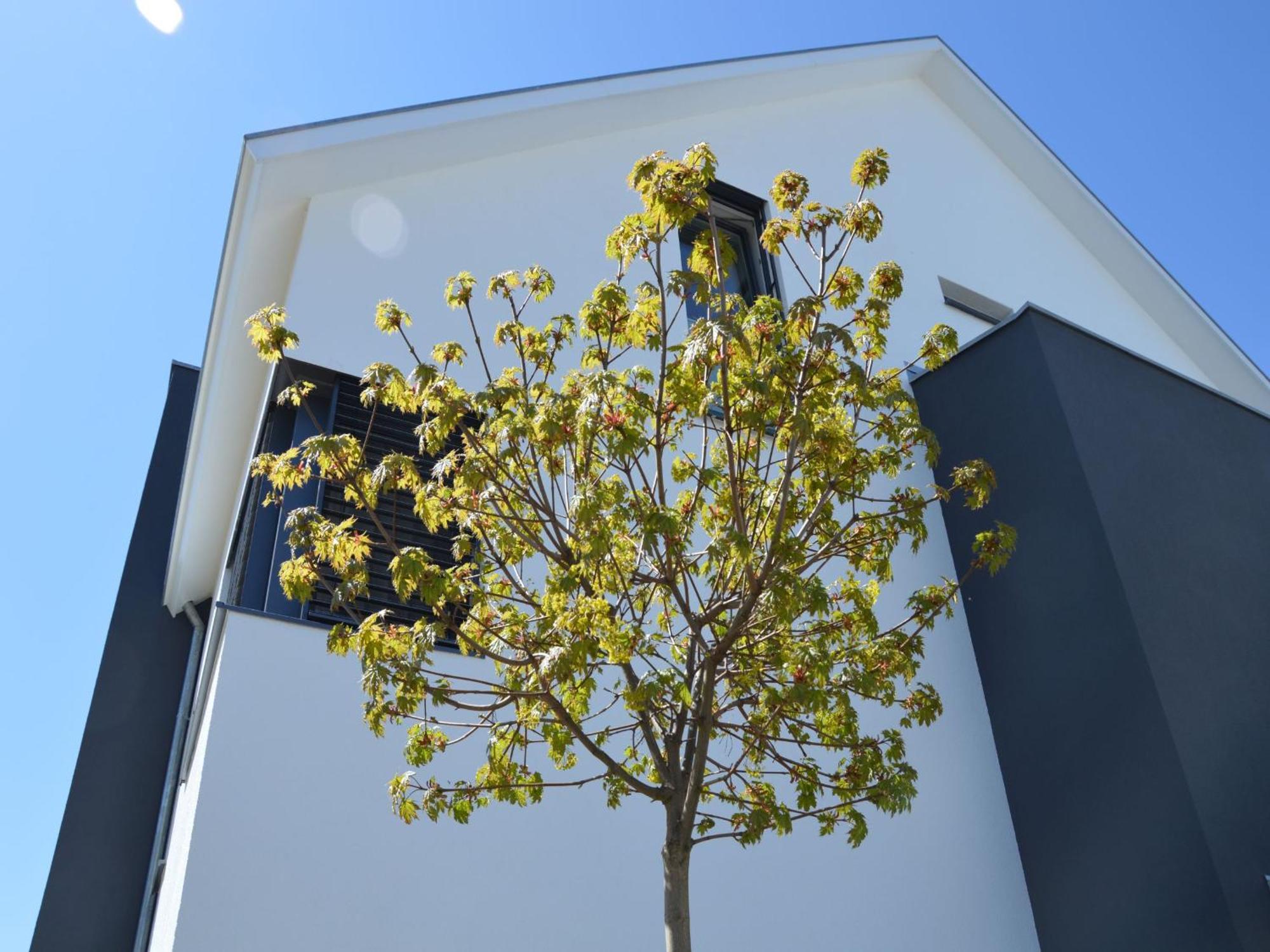 Ferienwohnung Kapps Haus Langenargen Exterior foto